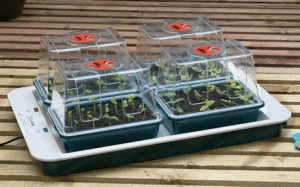 Podgrzewana taca do rozsady z 4 propagatorami | 50W | Mini szklarnia UK Garland 59x41x20cm G163