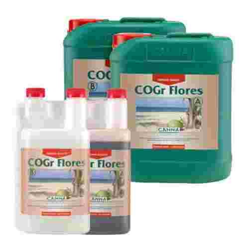 pol_pl_Canna-Cogr-Flores-A-B-kwitnienie-875_1.jpg