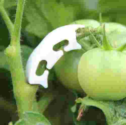 pol_pm_Herbgarden-Plant-Support-Clamps-kolanka-wspierajace-rosliny-50szt-5707_5.jpg