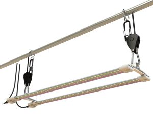 Lampa TNOLED 2x20W - kwitnienie