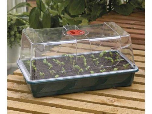 Propagator /szklarenka Garland z drenażem i wentylacją 37,5x23xh18cm