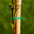 pol_pl_Drut-ogrodniczy-30m-Bioogrod-860_4.png