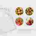 pol_pl_Herbgarden-Doniczka-foliowa-3gal-12L-1szt-5052_5.jpg