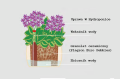 pol_pl_Zestaw-do-hydroponiki-LENI-doniczka-9-7-wskaznik-h7-5842_8.png