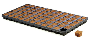 EAZY PLUG TACA 66  do klonów,sadzonek,wysiewu nasion