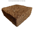 2024-12-21_063537.png