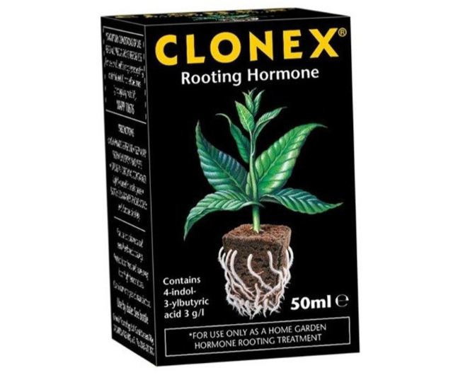 Clonex 50ml - do ukorzeniania klonów
