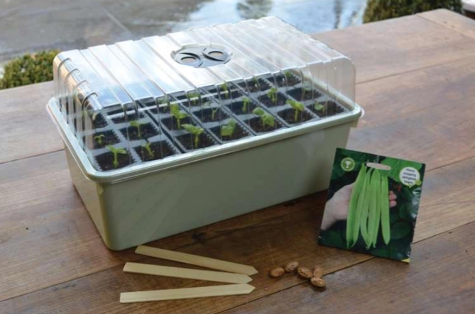 Propagator Garland z wkładem do ukorzeniania 38x23xh20cm G227