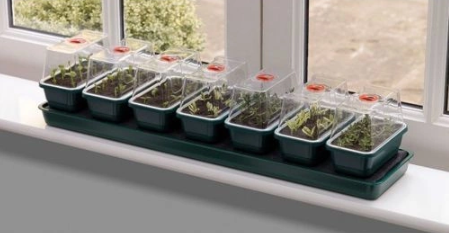 Samonawadniający propagator + 7 mini tac 76x18,5xh15cm Garland