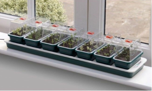 Propagator elektryczny podgrzewany 7 mini tacek 76x18,5xh15cm G51Garland