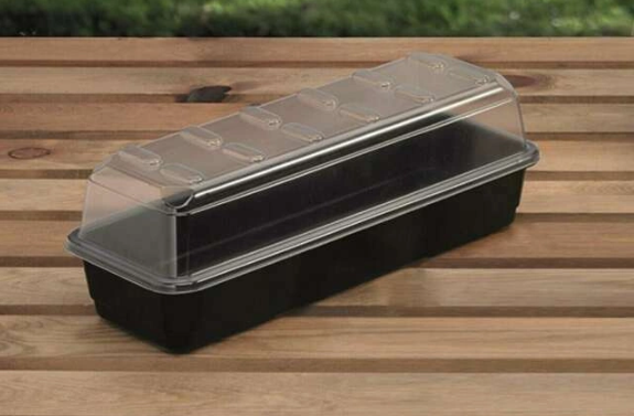 Propagator wąski ukorzeniający z otworami Garland 37,5x13,5x12,5 cm szklarenka   G134
