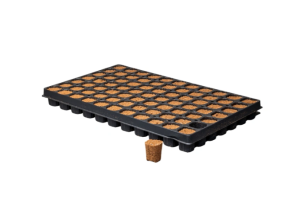 Canna Rootplugs – taca z wkładami do wysiewu, kiełkowania i klonowania roślin 77 szt