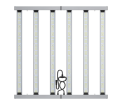 2025-06-26_055725.png