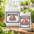 revive1.png