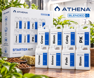 Athena Blended Line Starter Kit – zestaw nawozów 8 × 946 ml
