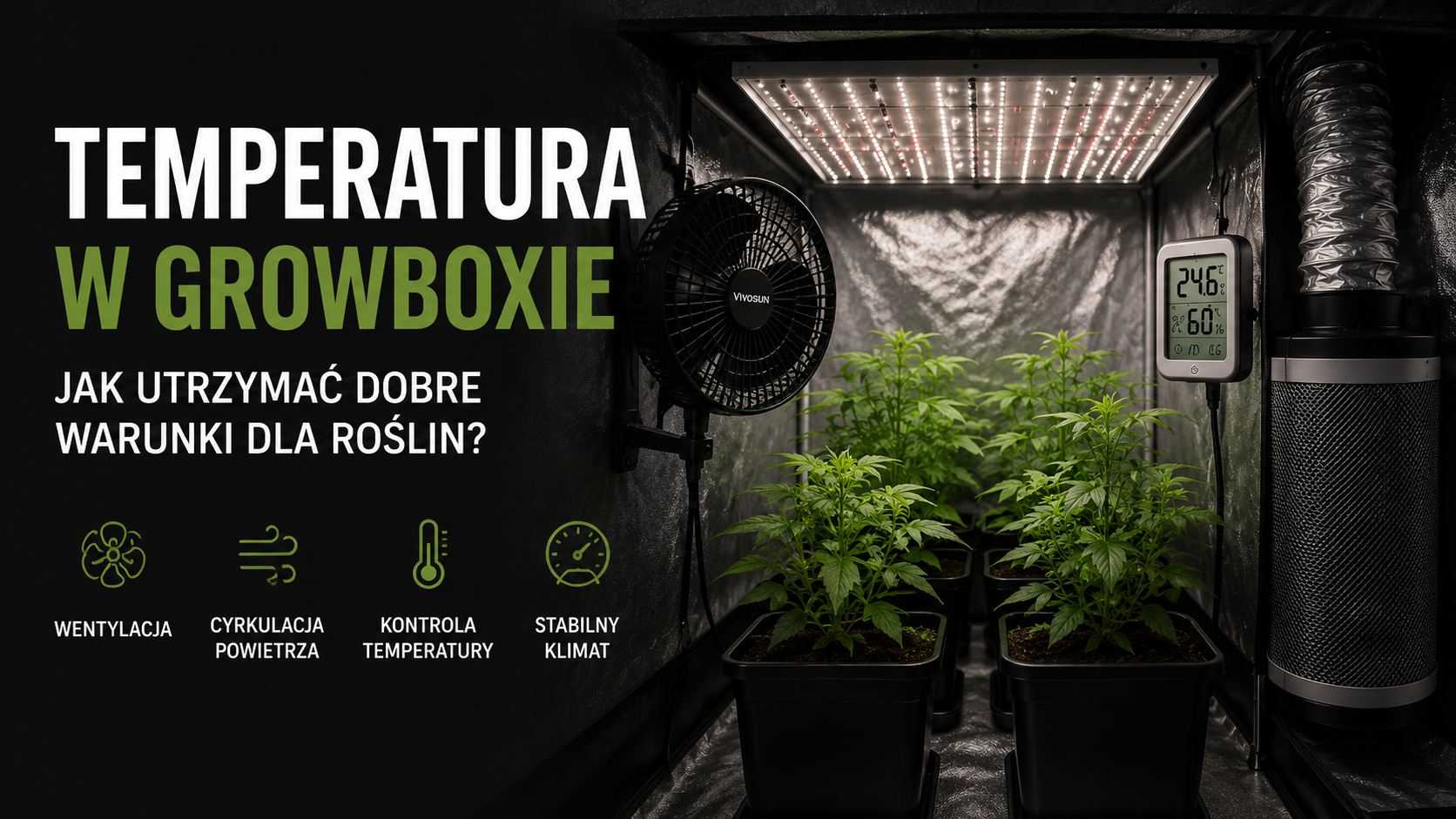 Temperatura w growboxie – jak utrzymać dobre warunki dla roślin?