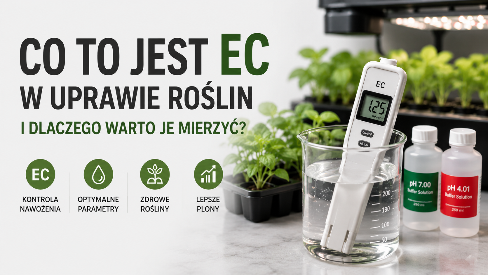 Co to jest EC w uprawie roślin i dlaczego warto je mierzyć?