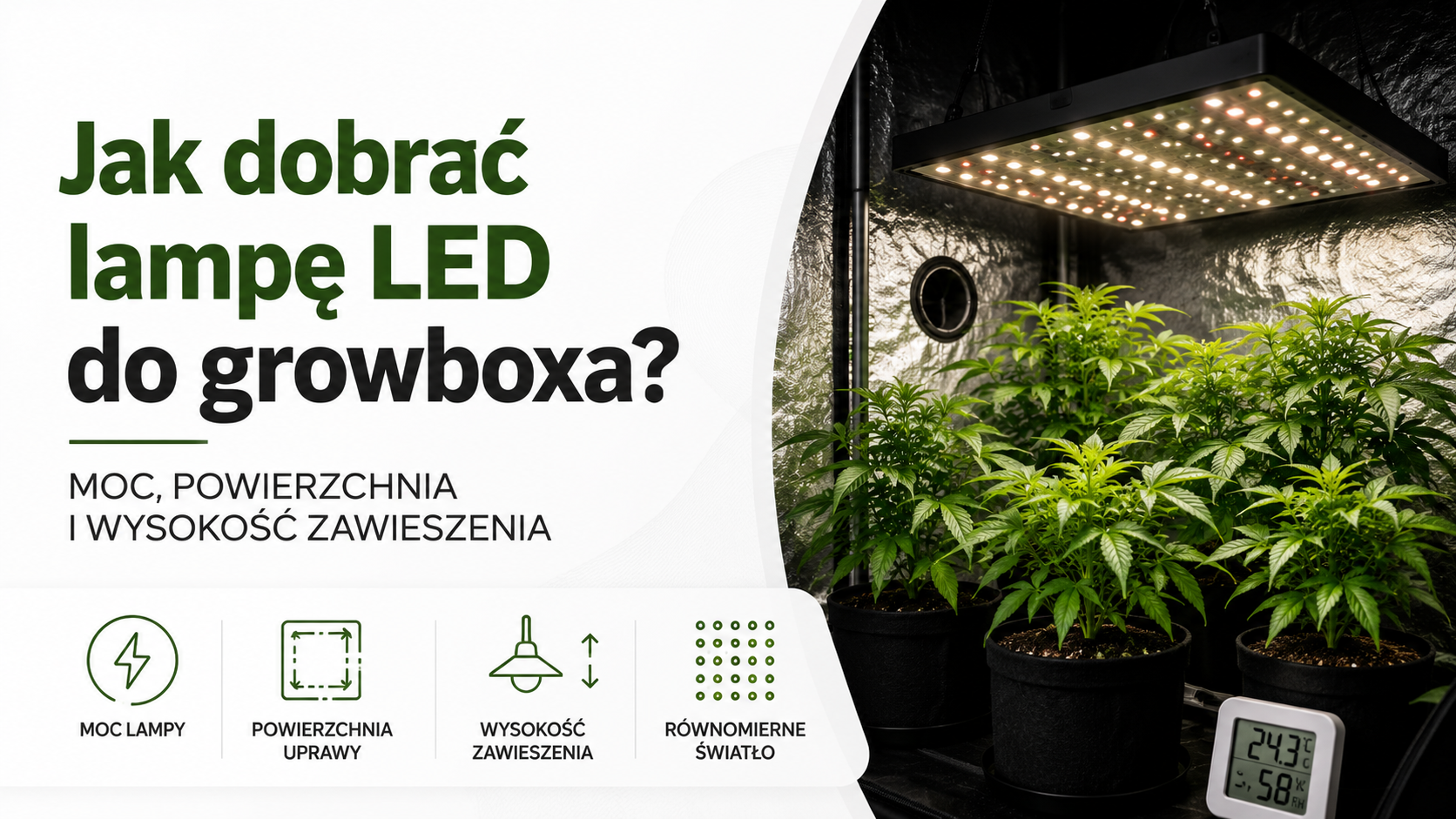 Jak dobrać lampę LED do growboxa?