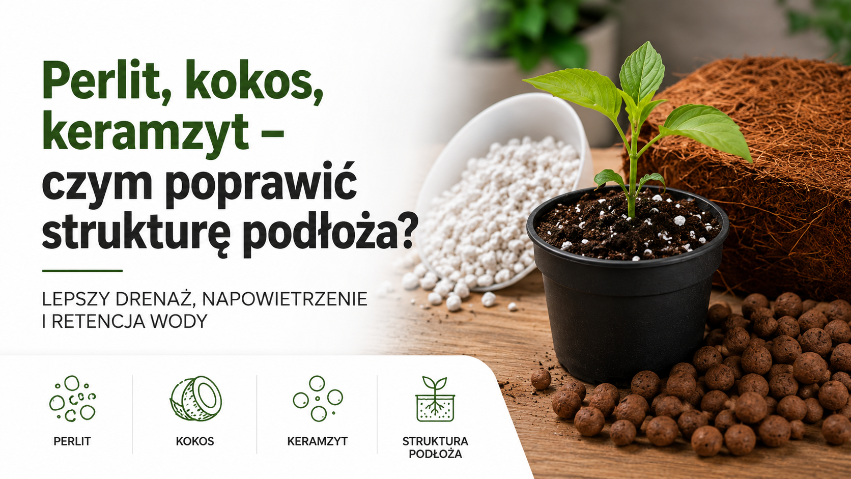 Perlit, kokos, keramzyt – czym poprawić strukturę podłoża?