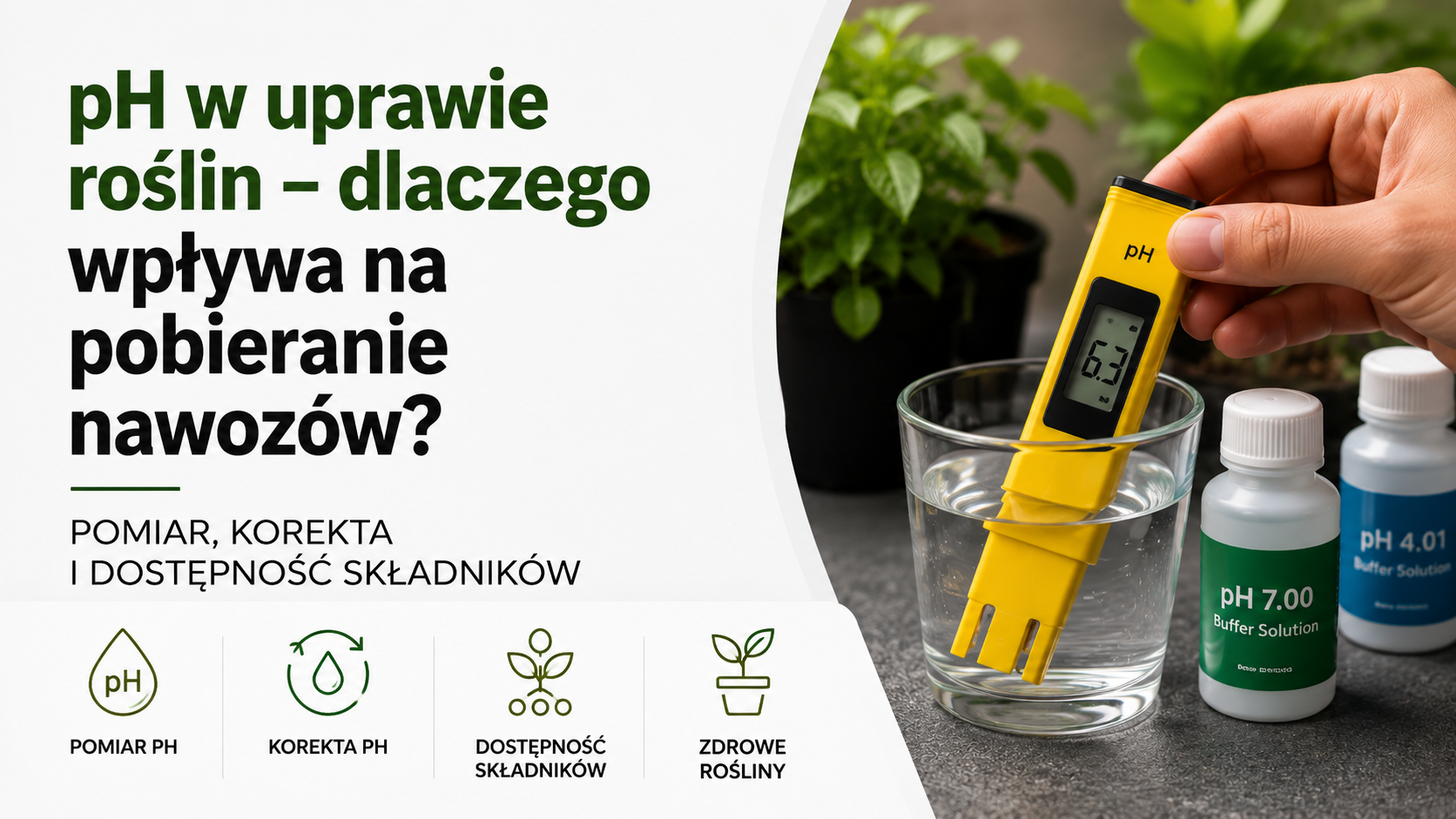 pH w uprawie roślin – dlaczego wpływa na pobieranie nawozów?