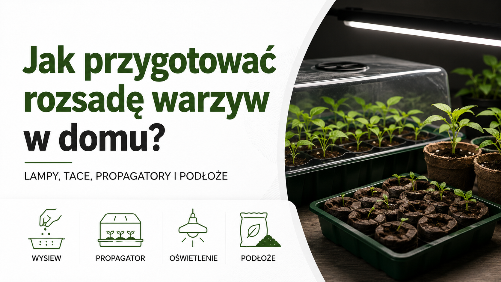 Jak przygotować rozsadę warzyw w domu?